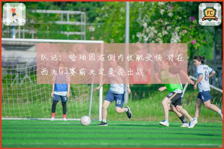 队记:哈珀因右侧内收肌受伤 将在西决G3赛前决定是否出战