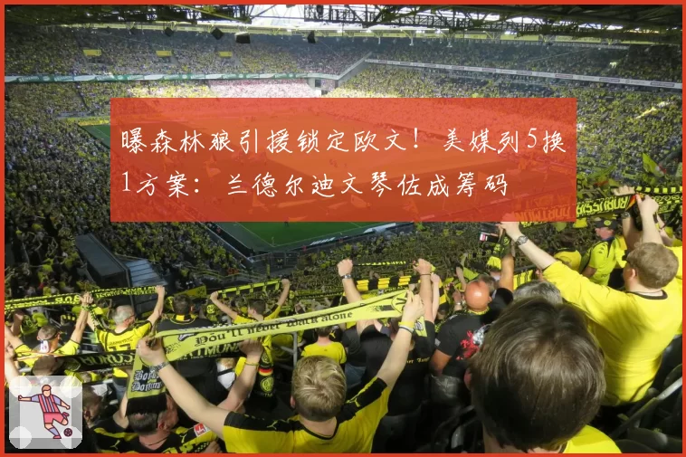 曝森林狼引援锁定欧文!美媒列5换1方案:兰德尔迪文琴佐成筹码